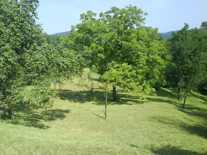 DSC01565 - cetatea veche Huedin