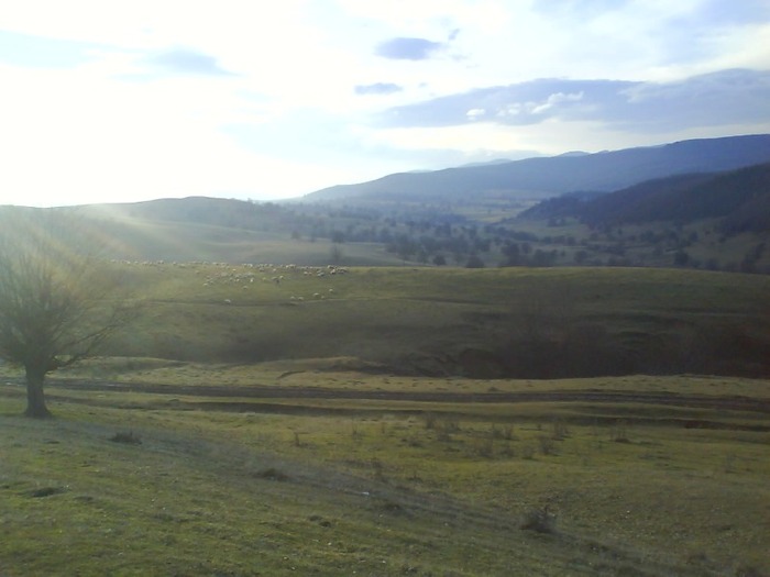 DSC02448 - cetatea veche Huedin