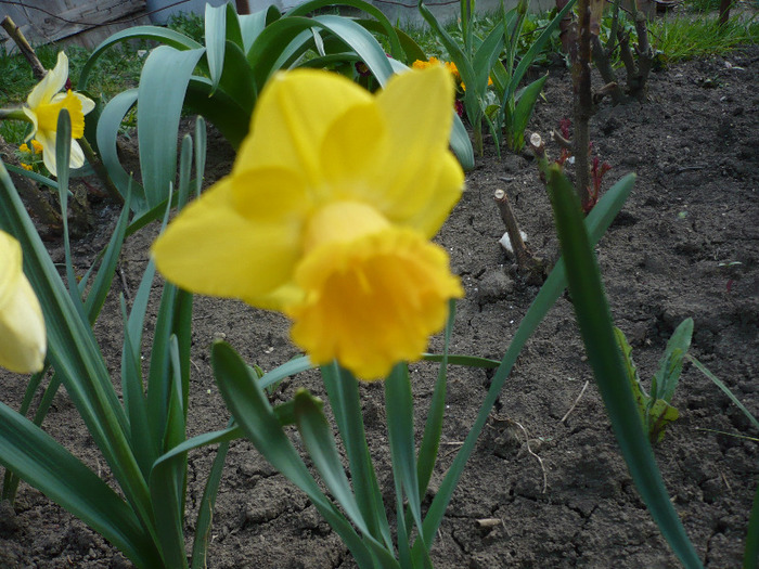 022