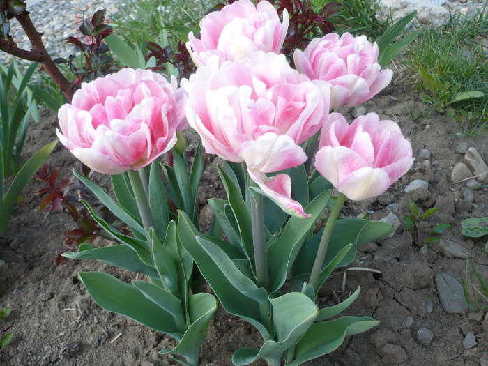 048
