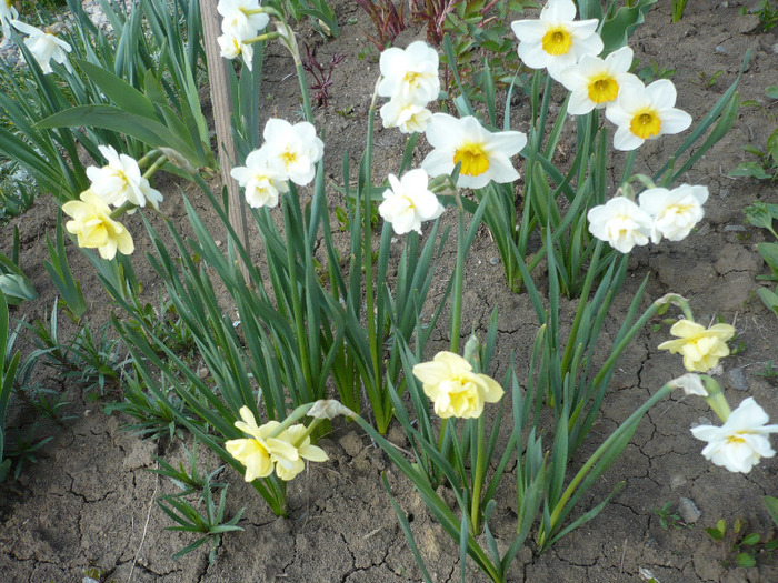 051