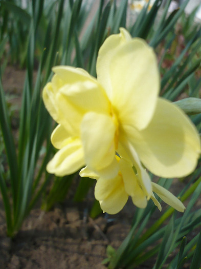053