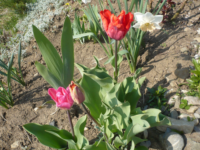 060