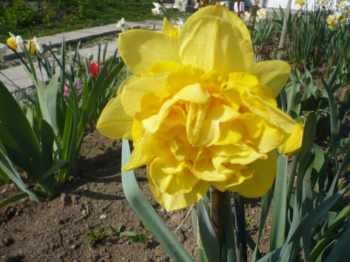 063