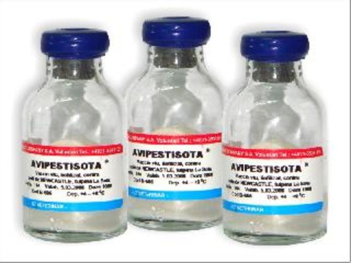 Avipestisota - vaccinuri