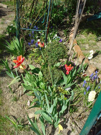 20.04.2011