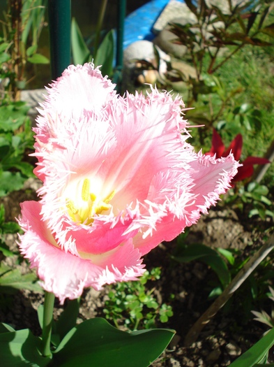 DSC02913