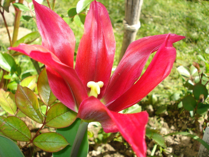 DSC02920