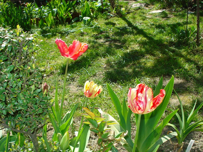 DSC02928