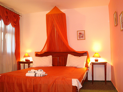 hotelalexa - camera rosie ocupata  bogdanapisicutza