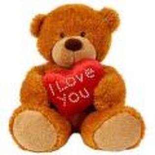 i love you - LOVE TEDDY BEARS