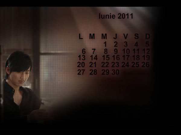 15ckrgp - calendar kim nam gil 2011