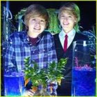 images (10) - the suite life movie