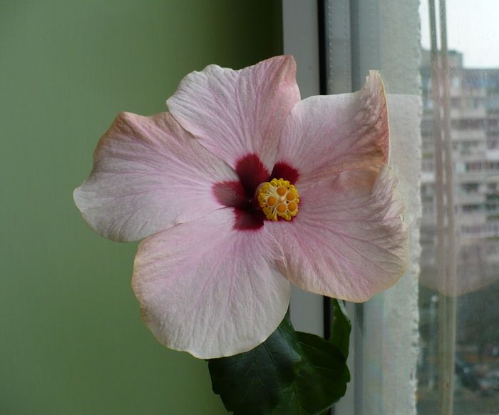 P1330426