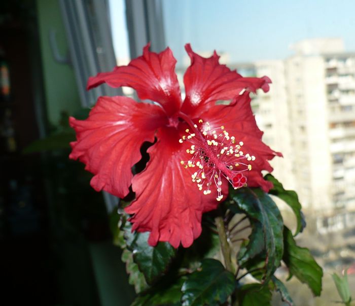 P1330455