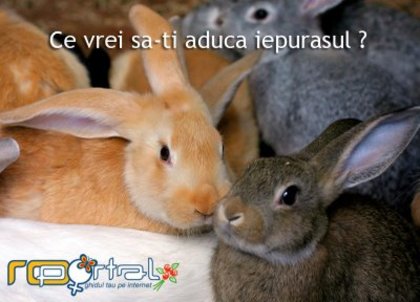 gallery_5464_25_347969; iepulasi dlagutzi
