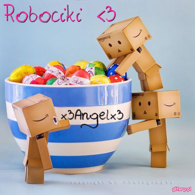 2-Robociki-3x3Angelx3-1681 - Tema II