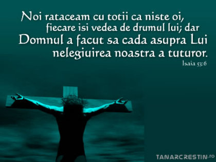 img_781121e0paste_20