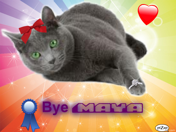 good bye Maya; sorry Maya
