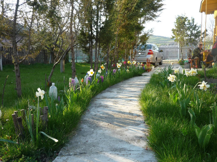 de Florii in 17 aprilie 2011