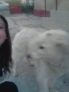 Vreau sa te pwp,vrei?:D - Xx My Dogs