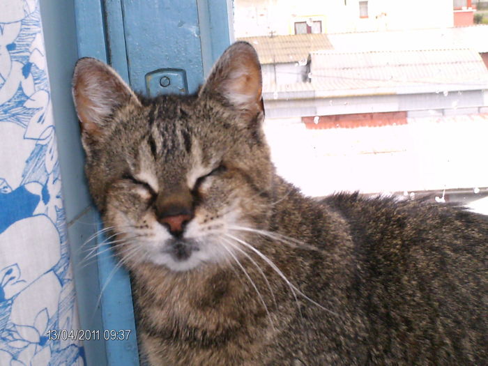 aprilie 018 - dida_2011