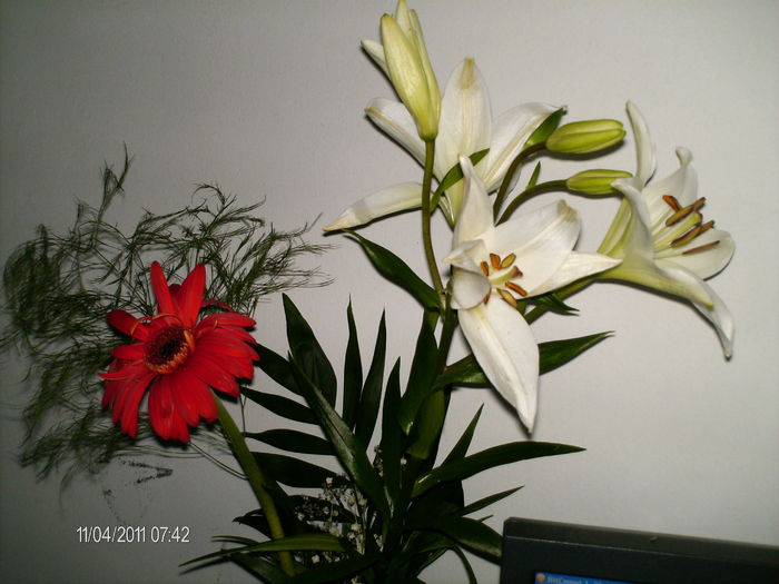 un buchet primit in dar - florile mele _2011