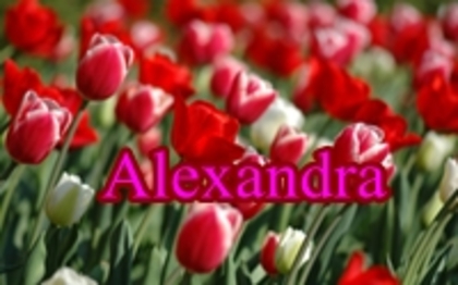 avatar ale - Alexandra