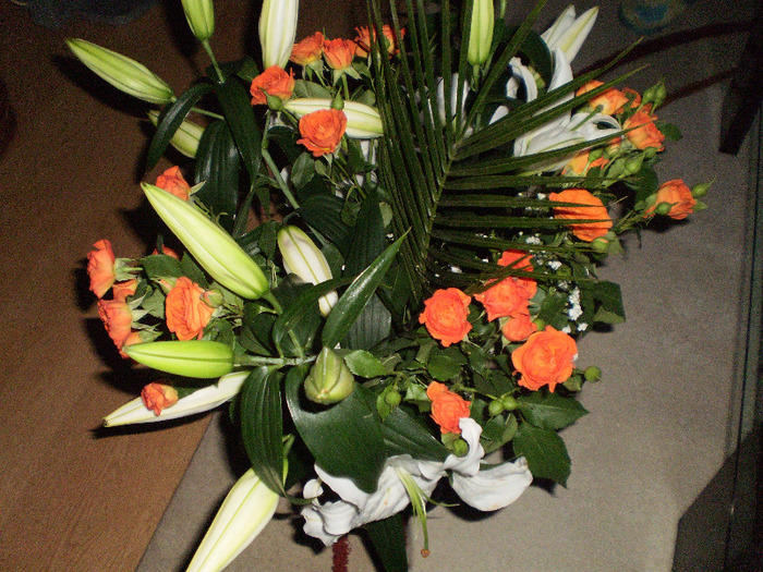 PC310005 - FLORI