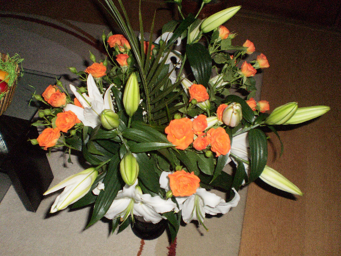 PC310006 - FLORI
