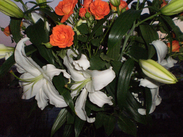 PC310008 - FLORI