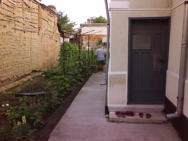 DSC05391