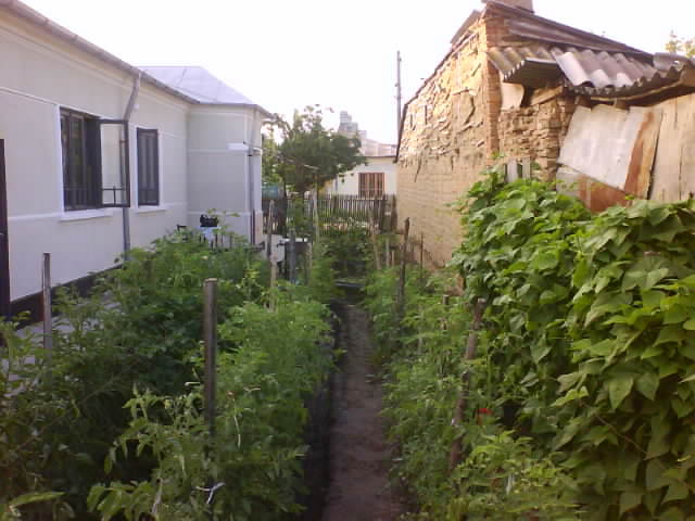 DSC05409