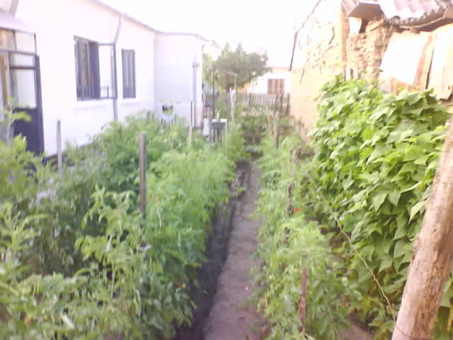 DSC05411 - turnu magurele