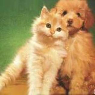 images (62)