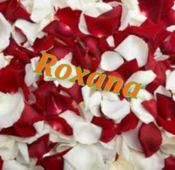 roxanna