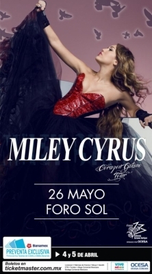 normal_poster2 - Gypsy Heart Tour 2011 - Poster