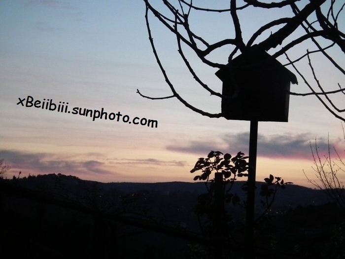 > :x < - x - Photo by me - Original - x