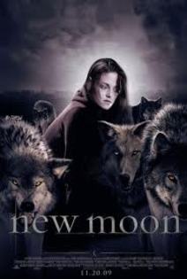 images (7)