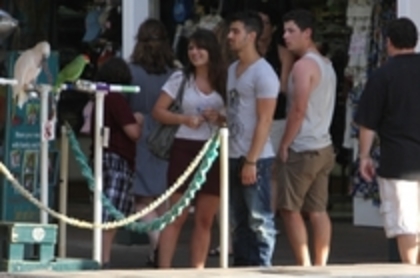 35661344_FAVPMIKXW - Joe Jonas and Nick Jonas Arriving And Out in Hawaii HQ - 20 April