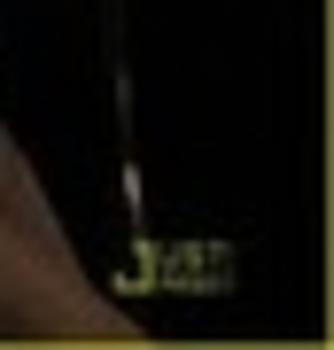 19926176_BCIRHCJCS_012