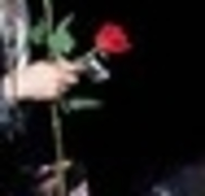 19926600_OLTVDYYTB_005