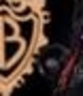 19926607_ALRHACBVG_010