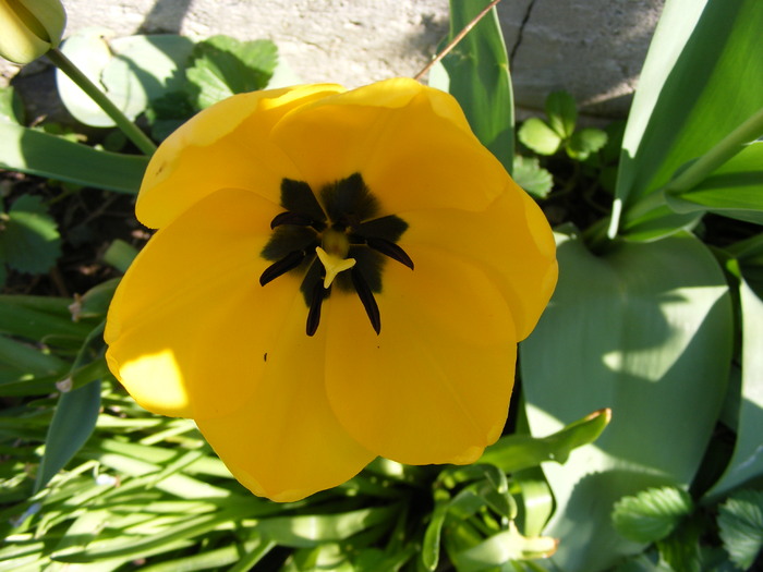 DSCF6377