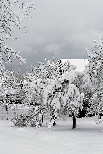 winter 2010