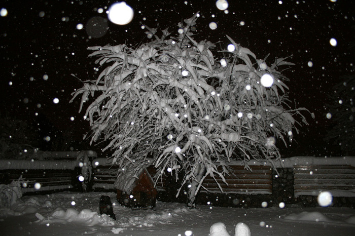 winter 2010 - just pictures