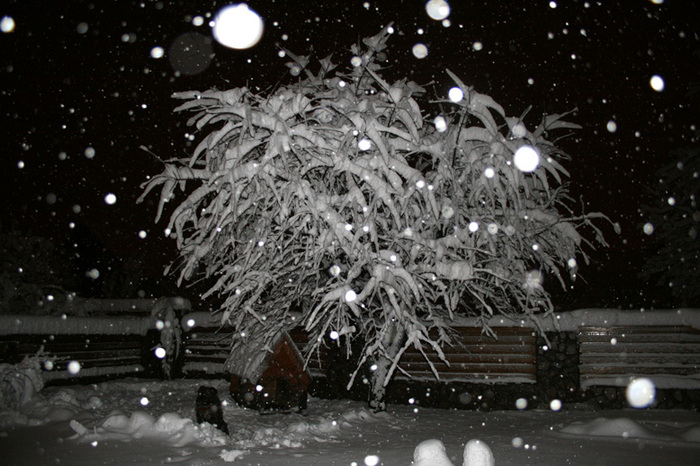 winter 2010