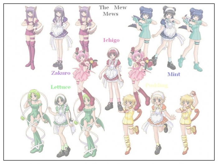 Tokyo_Mew_Mew_all_characters