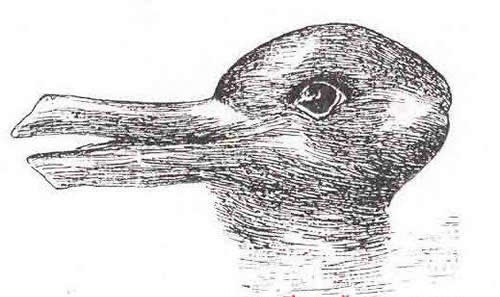 Rata sau iepure ? - Xx Optical Ilusions   Drawing