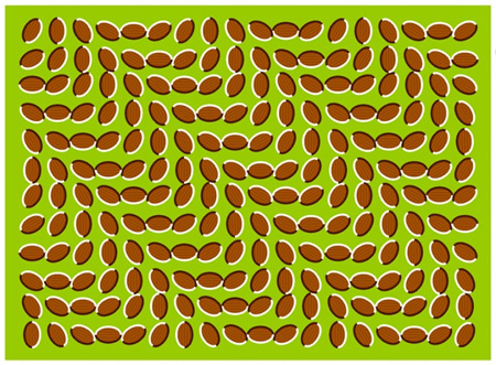 Iluzie optica2 - Xx Optical Ilusion-Hypnosis